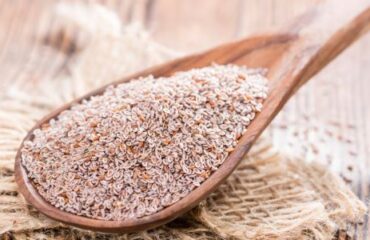 probióticos e psyllium