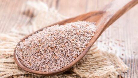 probióticos e psyllium