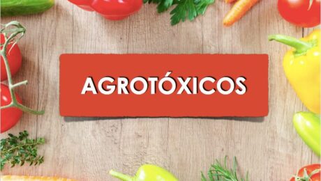 Alimentos com agrotóxicos