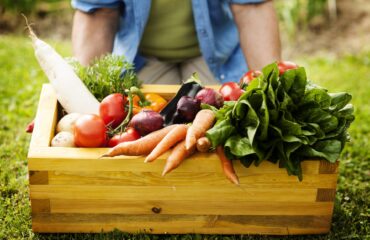 Alimentos orgânicos