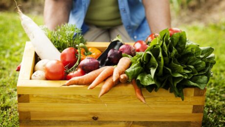 Alimentos orgânicos