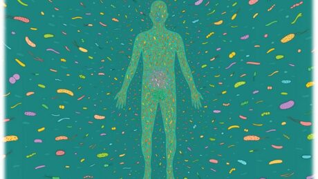 microbiota humana