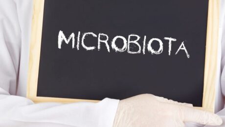 a composição da microbiota intestinal